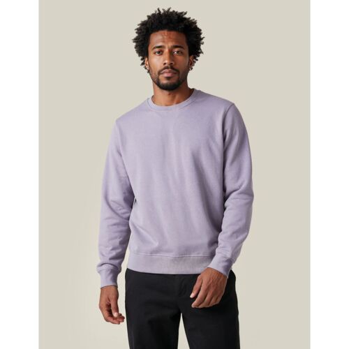 UM Crewneck Regular Fit Thumbnail