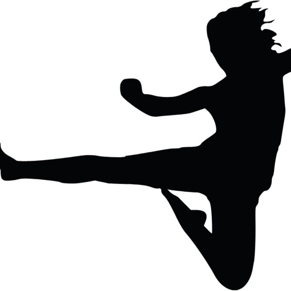 karate kick Thumbnail