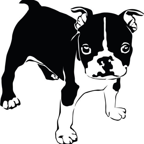 ranskanbuldoggi Thumbnail