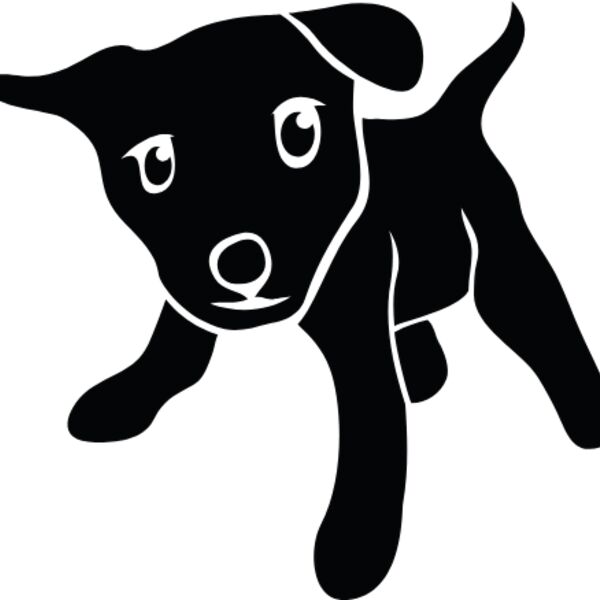 koiran pentu Thumbnail