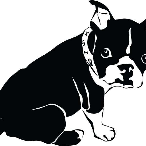 ranskanbuldoggi 2 Thumbnail