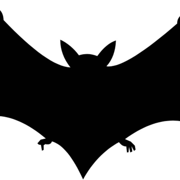 bat3 Thumbnail