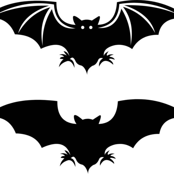 bat4 Thumbnail