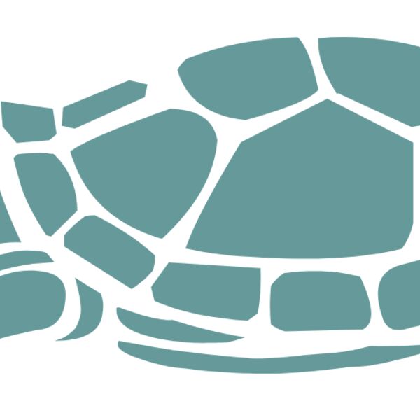 turtles  10  Thumbnail