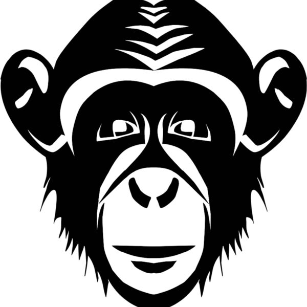 monkeys  5  Thumbnail