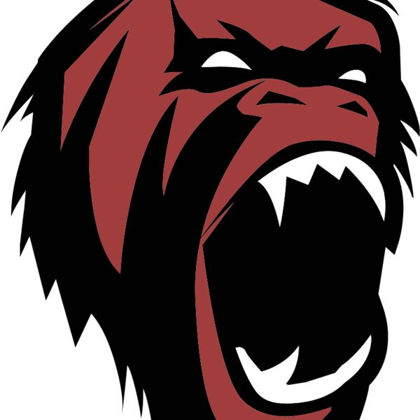 gorillas  4  Thumbnail