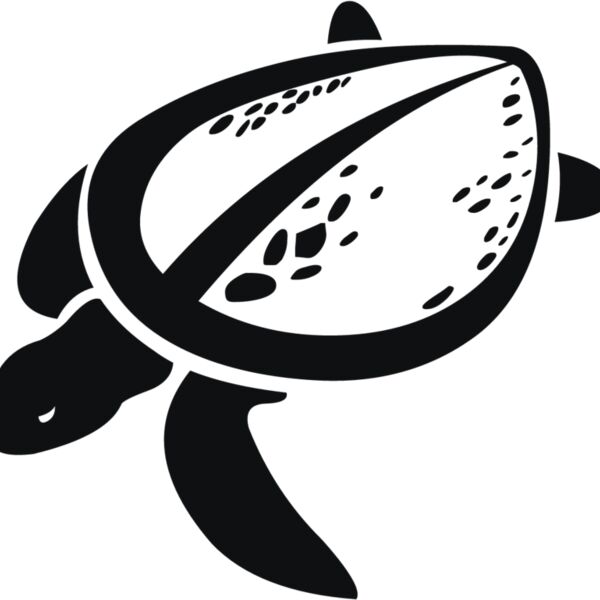 turtles  5  Thumbnail