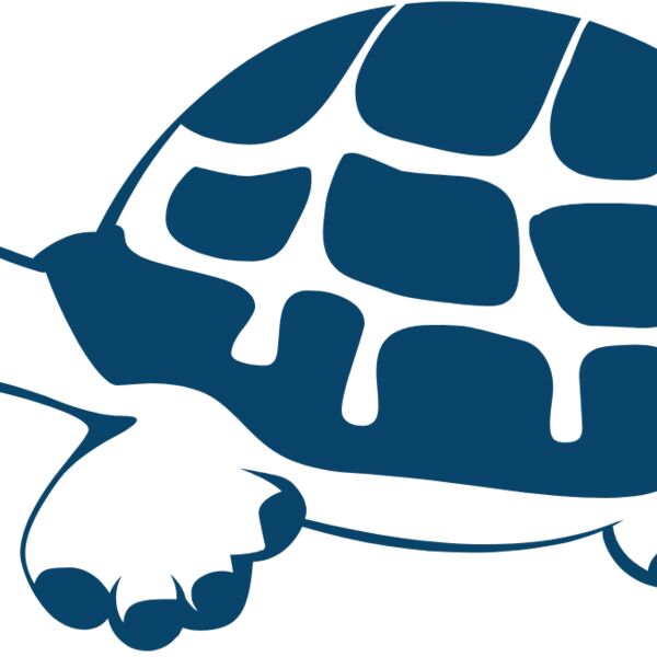 turtles  8  Thumbnail